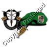 Emblem   5th SFG VietNam  DUI  Beret   Dagger 1