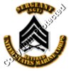 USMC - SGT - Collar - Retired