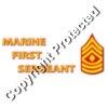 USMC - Marine First Sergeant - V1