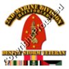 USMC - 2nd Marine Division - Desert Storm Veteran