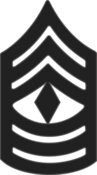 Enlisted - Rank - Pin- On - 1SG