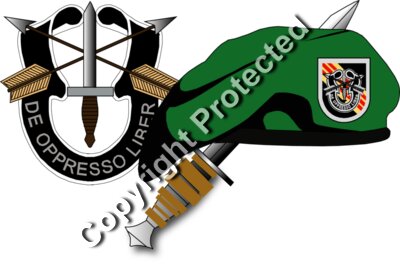 Emblem   5th SFG VietNam  DUI  Beret   Dagger 1