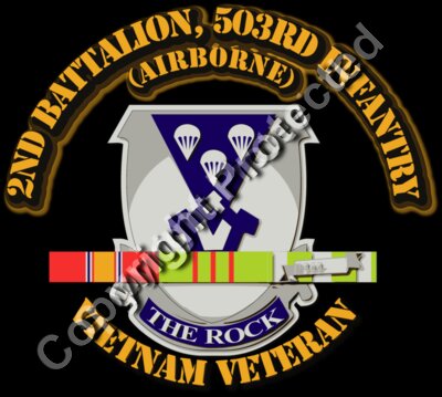 2nd Bn - 503rd Infantry w Vietnam SVC Ribbons