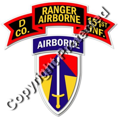 D Co - 151st Infantry - 2nd Field Force - Vietnam 