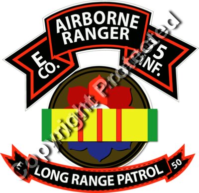 Vietnam - E Co 75th Ranger - 9th ID - VN Ribbon - LRSD