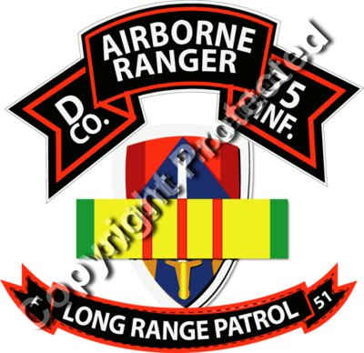 Vietnam - D Co 75th Ranger - II Field Force - VN Ribbon - LRSD