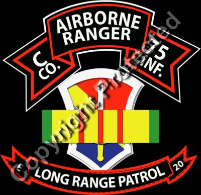 SSI - Vietnam - C Co 75th Ranger - 1st Field Force - VN Ribbon - LRSD