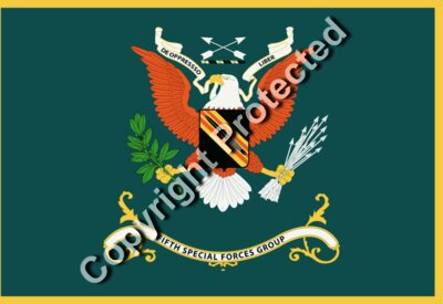 Regimental Colors - 5th SFG - Vietnam