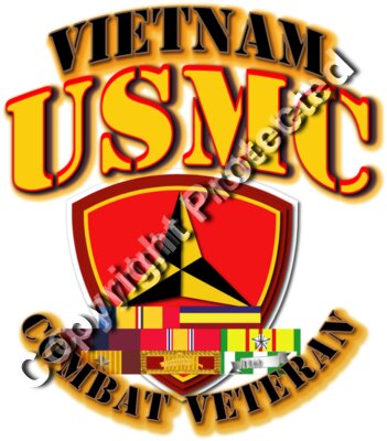 USMC - 3rd MARDIV - VN - Cbt Vet w Ribbons