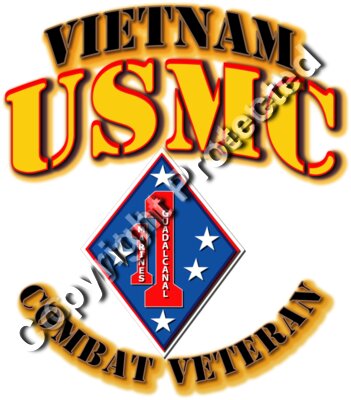 USMC - 1st Marine Regiment - Vietnam - Combat Vet