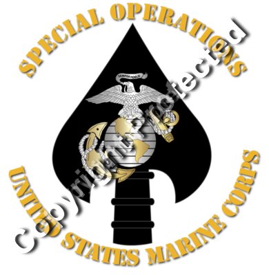 USMC - Special Operations