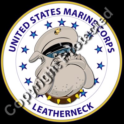 USMC - Leatherneck