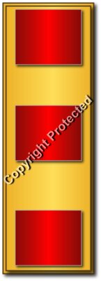 USMC - Chief Warrant Officer - CW2 - No Txt