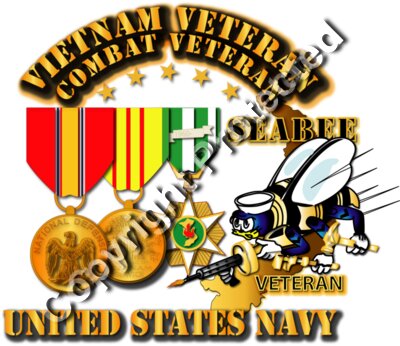 Navy - Vietnam  Veteran - w Medals - VN - Seabee