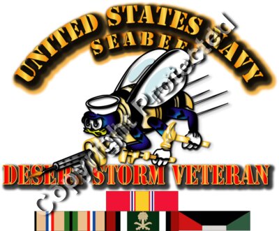 Navy - Seabee - Desert Storm Veteran