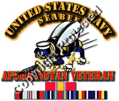 Navy - Seabee - Afghanistan Veteran
