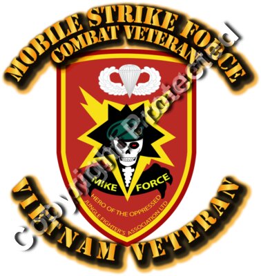 SOF - Vietnam - Mobile Strike Force - Det C