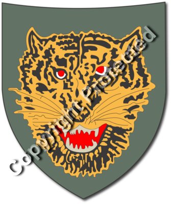 SOF - Vietnam - Mobile Guerilla Force Patch