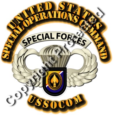 SOF - USSOCOM - Airborne Badge