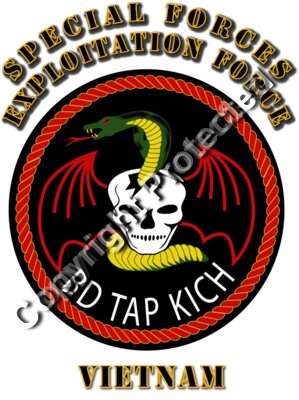 SOF - Special Forces Exploitation Force - Vietnam