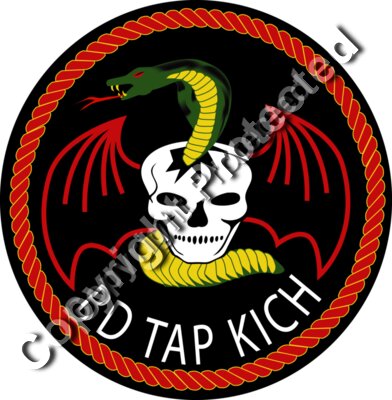 Special Forces Exploitation Force - Vietnam - V1